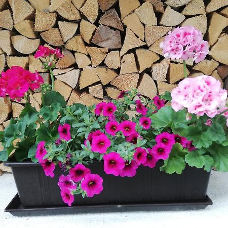 Appartment Moser Alpbach Bagian luar foto