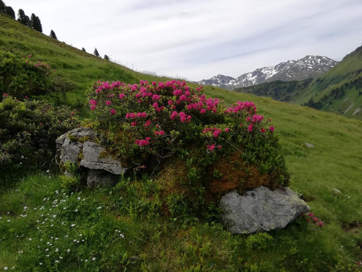 Appartment Moser Alpbach Bagian luar foto